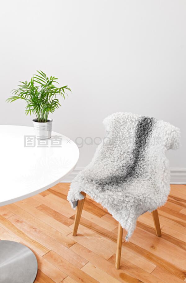 长着羊皮的椅子,种在白色的桌子上